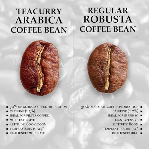Image of Teacurry Arabica Coffee Beans (50 Grams) - Premium Whole Bean Roasted Coffeee Beans for Enhances Energy & Focus | Premium Arabica Coffee Powder