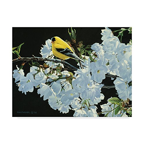 Goldfinch And Blossoms by Ron Parker, 18x24-Inch