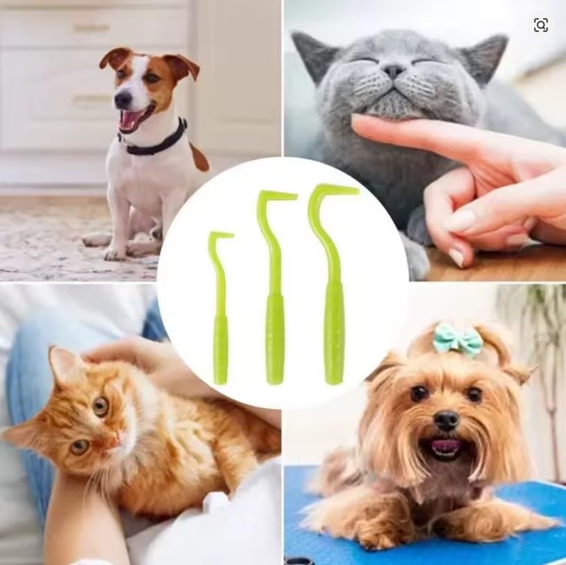 Générique *** Lot De 3 Crochets d' Extraction Tiques - Ensemble de 3 Pinces Tire-Tiques - Tailles S/M/L - pour Chiens, Chats, Chevaux ... 3 Pièces - Anti Tique