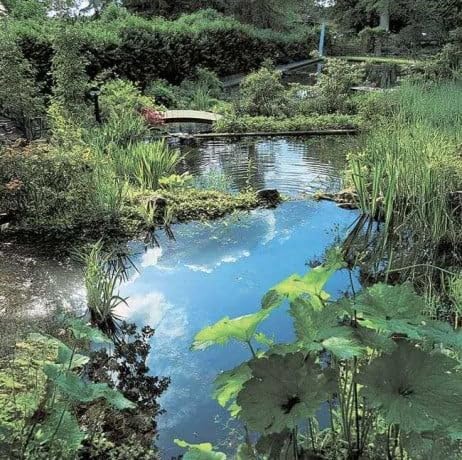 Ubbink Ocean I HDPE 1500 L Gartenteich 230x200cm