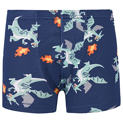 Cczmfeas Boys Toddler Dinosaur Cotton Underwear Boxer Briefs 6 Pack3