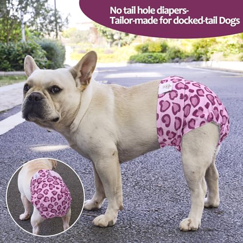 Image of CuteBone Washable Dog Diapers Female No Tail Hole 3 Pack Reusable Doggie Period Training Pants for Docked-Tail Frenchie French Bulldog Boston Terrier Without Tail WWD18S