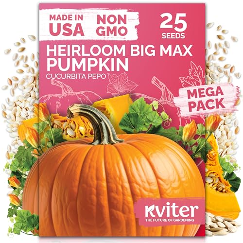 KVITER 25 Big Max Pumpkin Seeds for Planting (Cucurbita Pepo) Giant Heirloom & Pumpkin Seeds Up to 100 lbs Ideal Vegetable Seed Packets for Home Outdoor Garden
