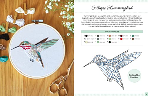 Embroidery Made Easy: Beautiful Birds: Easy Techniques for Learning to Embroider a Variety of Colorf