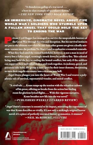 Image of Angel Down (Pulitzer Prize Winner): A Novel
