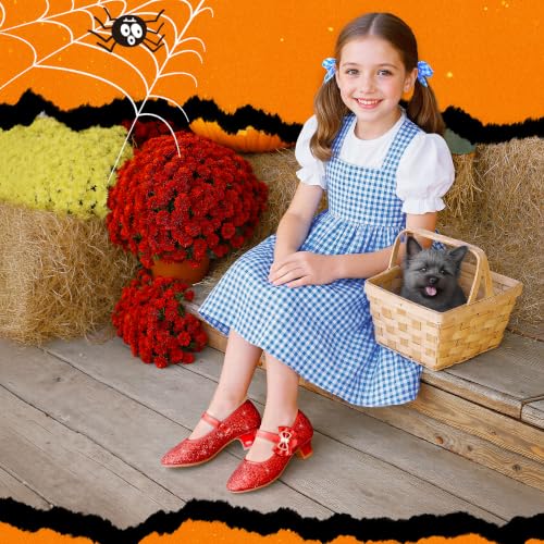 Image of Dufannie Girls Dress Shoes Princess Flats Heels for Toddler Little Big Kids