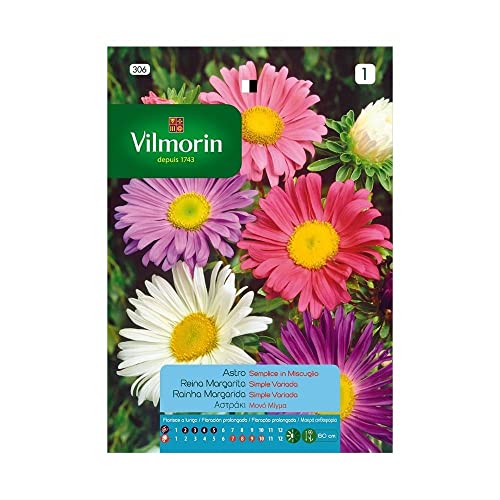 Semillas de REINA MARGARITA SIMPLE VARIADA S-1, 0,8 gr