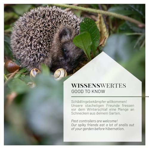 wildlife home Igelfutter VON IGELHILFEN EMPFOHLEN Getreidefrei 1kg - Artgerechtes Spezialfutter für Igel mit Insektenprotein für die optimale Energieversorgung, Vollwertiges Igel Futter Trockenfutter
