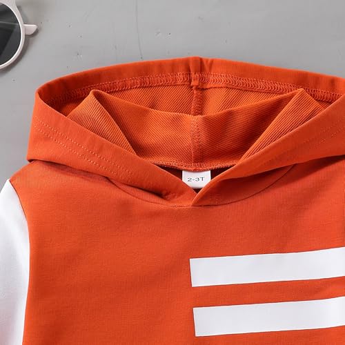 Image of Size 2-6 Years Toddler Boys Clothes Color Blocking Hoodie and Casual Pants 2Pcs Kids Boys Fall Winter Outfits Set