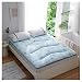 WYJHNL Colchón Tatami Colchón Futón Suave para Dormitorio de Estudiantes, Hogar, Cama, como Colchón, Protector Colchón, Colchón Piso, Colchón,D,100x200cm