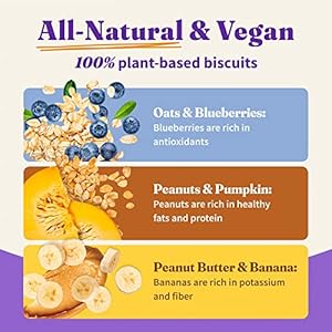 Halo plant based mostly canine treats selection pack oats  blueberries peanut butter  banana peanuts  pumpkin vegan canine deal with pouch 8oz bag 3 depend   cucciolini doodles