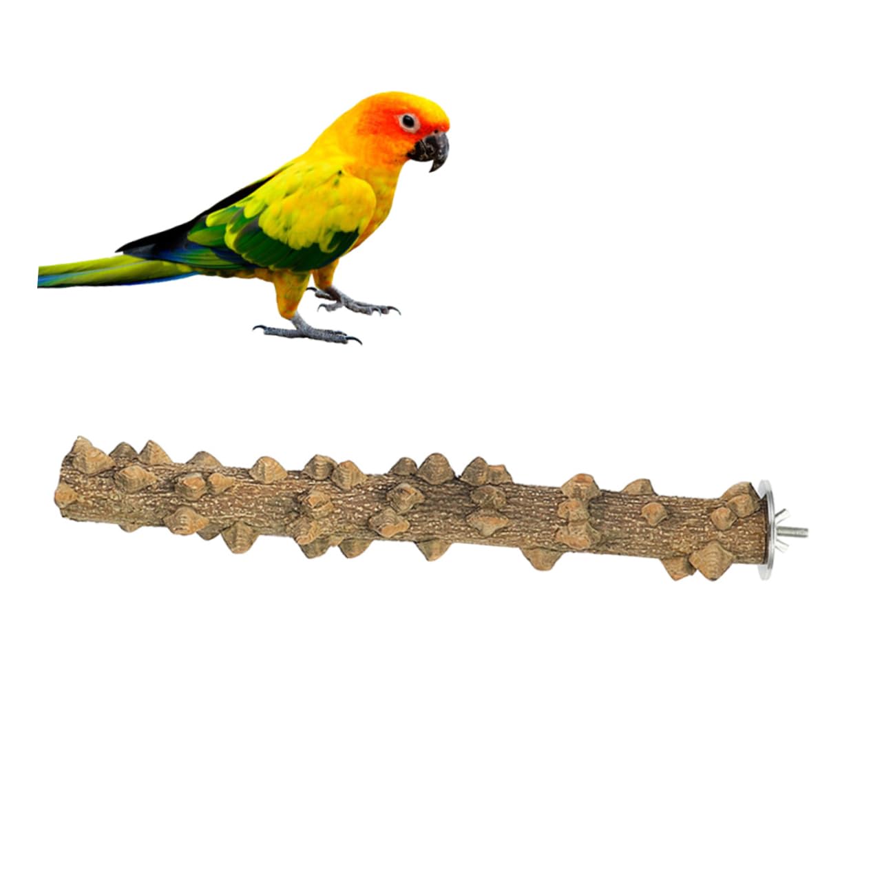 DOITOOL 3pièces Perchoir Bois Naturel pour Oiseaux Jouet Et Stand De Jeu pour Perroquets Cockatiels Conures Et Autres Petits Oiseaux