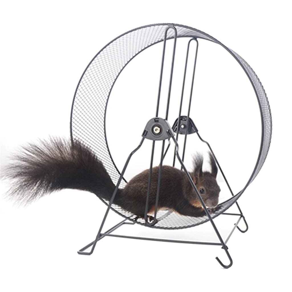 Small Pet Hamster Running Wheel with Stand Household Running Jogging Toy Playing