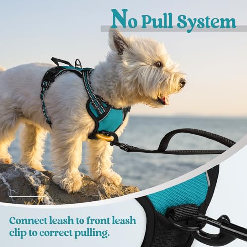 Image of rabbitgoo Dog Harness No Pull with 2 Leash Clips, Adjustable Soft Padded, Reflective Oxford No Choke Pet Vest with Easy Control Handle for Puppy, Teal, XS