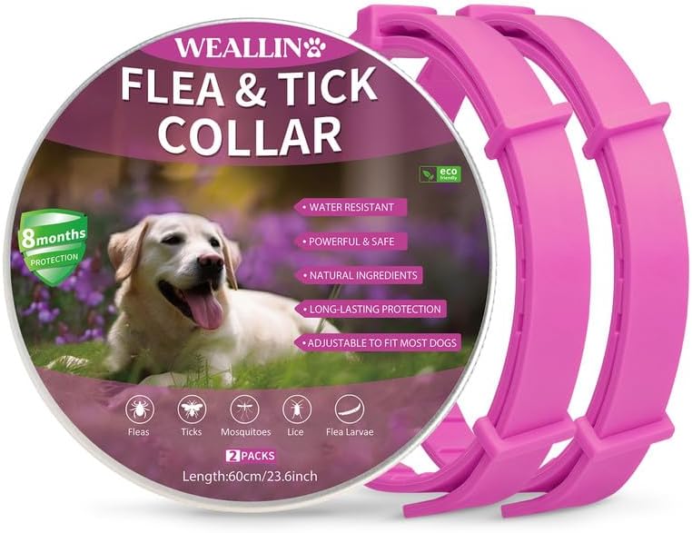 WEALLIN Flea Treatment for Dogs, Adjustable Water-Resistant Dog Flea Collar, Effective 8 Months Natural Protection Dog Flea Collars, Flea and Tick Collar for Most Kinds of Dogs, Rainbow(1 Pack)