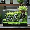 Vimvins 5 Gallon Glass Fish Tank, Easy to Maintain Small Aquarium for Betta/Goldfish/Snails/Shrimp and Aquatic Planting.