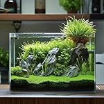 3 Gallon Glass Fish Tank, Easy to Maintain Small Aquarium for Betta/Goldfish/Snails/Shrimp and Aquatic Planting. - Image 2