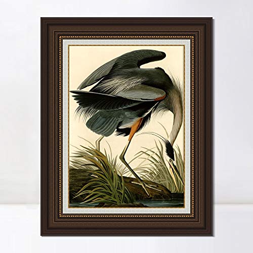 Invin Art Framed Canvas Art Giclee Print Great Blue Heron By John James Audubon Wall Art Living Room Home Office Decorations(Dark Brown Frame With Linen Liner,24"X32") #TOP17