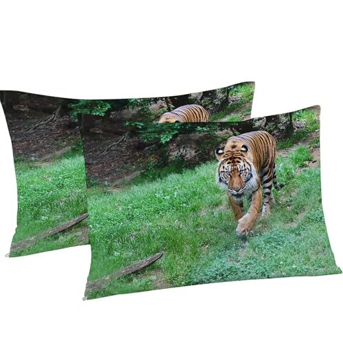 Linge de lit tigre 90x190 en microfibre douce pour éviter les draps rêches - 5