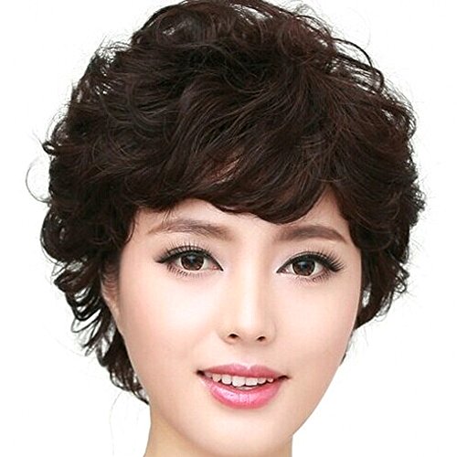 HSG Mother Short Curly Wigs Popular Middle Age, Older Women Black Wgs
