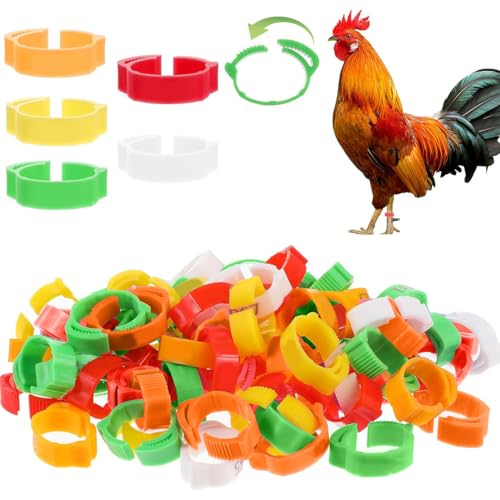 GGUFAY 100 PièCes Anneaux De Pied De Volaille Avec Coloré, RéGlable Bague Poule, Anneaux De Jambe En Plastique Pour Poules, Canards, Poules, Cailles,...