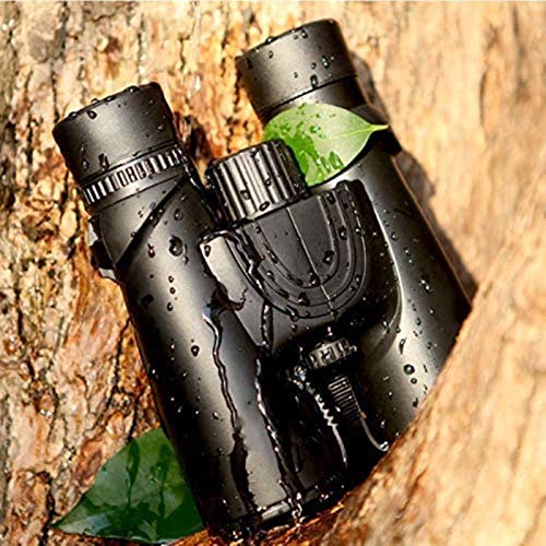 Binoculares compactos 10x42 impermeables con prisma BAK4 miniatura 4