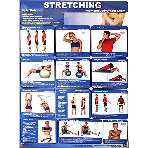 Productive Fitness Publishing Stretching Poster - Upper Body