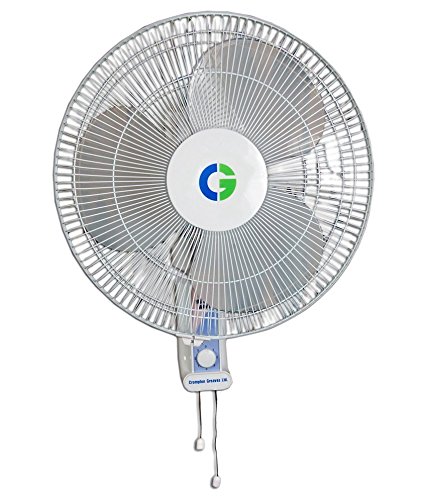 Buy Crompton HiFlo Wave Wall Mount Fan 