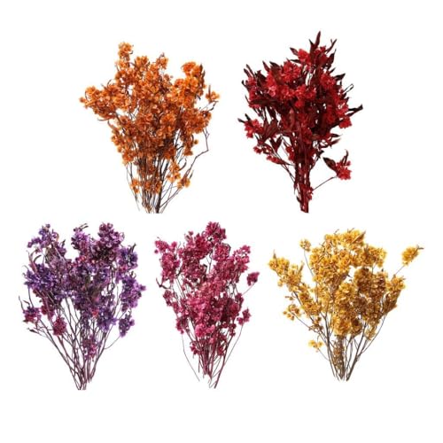 Ramo de flores secas Dodonaea Viscosa decorativo miniatura 6