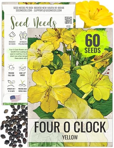 Amazon.com : Four O'clock Bright Red 100 Seeds Beautiful Vivid Redish ...
