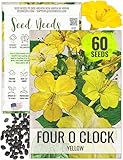 Seed Needs, Yellow Four O' Clock Seeds - 60 Heirloom Seeds for Planting Mirabilis Jalapa - Tender Perennial Flowers to Attract Butterflies, Hummingbirds & Other Pollinators (1 Pack)