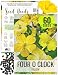 Package of 60 Seeds, Yellow Four O' Clock (Mirabilis jalapa) Non-GMO Seeds By Seed Needs