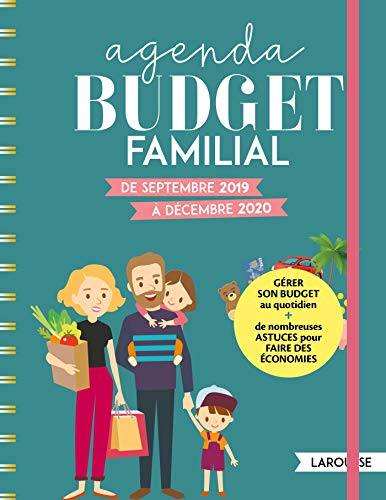 Télécharger Agenda Budget Familial: De septembre 2019 à décembre 2020 (2019) PDF Ebook En Ligne