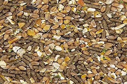 Versele-laga - Pienso Mezcla Gold 4 de la colección Country´s Best para gallinas (5kg) (Puede Variar)