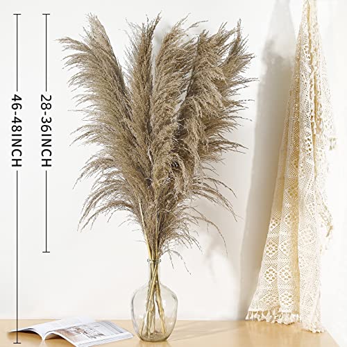 9-Stems-Pampas-Grass-Decor-Tall-484-FT-Long-Fluffy-Dried-Pompas-Grass-Large-Pampas-Grass-for-Floor-Vase-Rustic-Wedding-Baby-Shower-Party-Farmhouse-Boho-Home-Decor