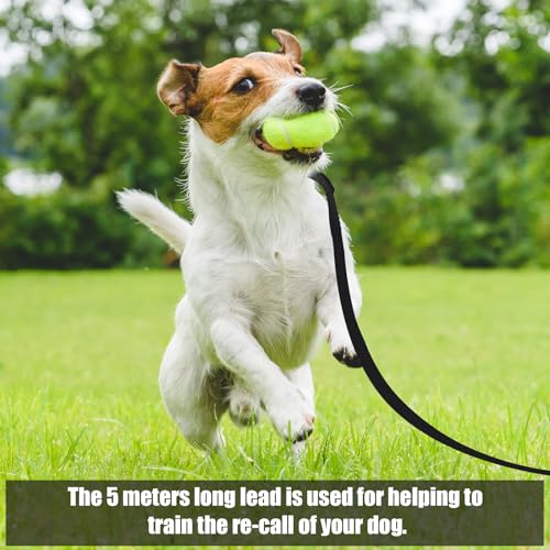 Partideal Schleppleine für Hunde, 5m Trainingsleine mit Handschlaufe und D-Karabiner, wasserdichte Ausbildungsleine für Mittlere und Kleine