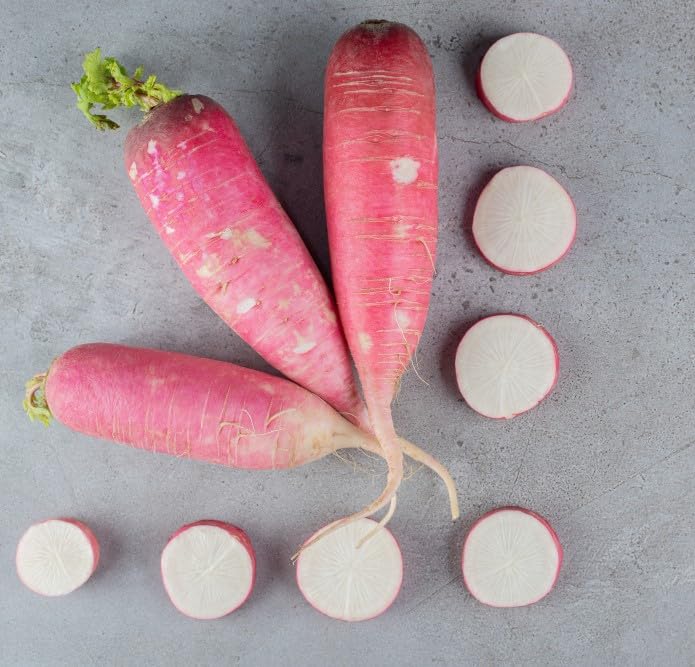 Red Radish Seeds Pack of 30 – Heirloom, Non-GMO, Fast-Growing, Ideal for Home Gardens and Organic Farming