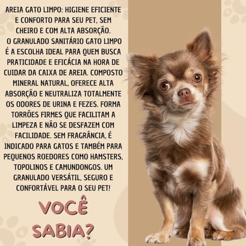 Areia Sanitária Gato Limpo 20kg Granulado Alta Absorção