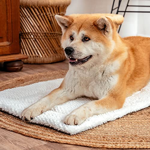 lionto Wendedecke wärmend für Hunde und Katzen, gefütterte Liegedecke waschbar mit strapazierfähiger und flauschiger Seite, 75x55 cm, hygienische Matte mit Kälteschutz für Haustiere aller Größen, grau