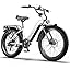 EK210-WHITE