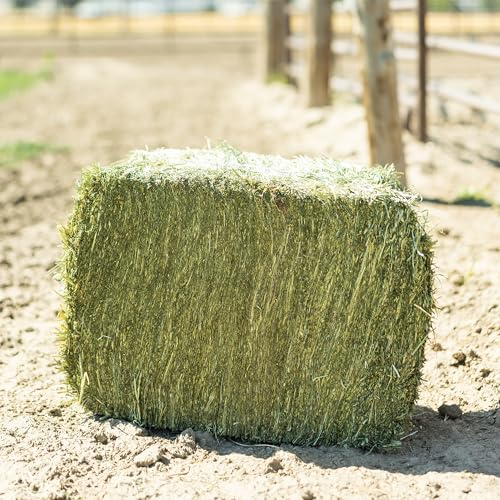 Standlee Premium Alfalfa y Hierba Comprimida 50 lb miniatura 3
