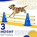 BHHTBB Agility Set Hunde Hürden Steckhürdenset Kinder, Hindernisse für Kinder Hunde Parcour zum Springen, Cavaletti Hund, 8 Kegel 23cm Höhe + 8 Stangen 80cm lang, für Trainingsübungen