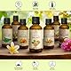 Walnussöl 50ml - Juglans Regia Seed Oil - USA - Naturlich & Reines - Walnußöl - Basisöl - Kaltgepresst & Raffiniert - Pflege für Gesicht - Körper - Massage