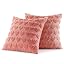 Coral Red