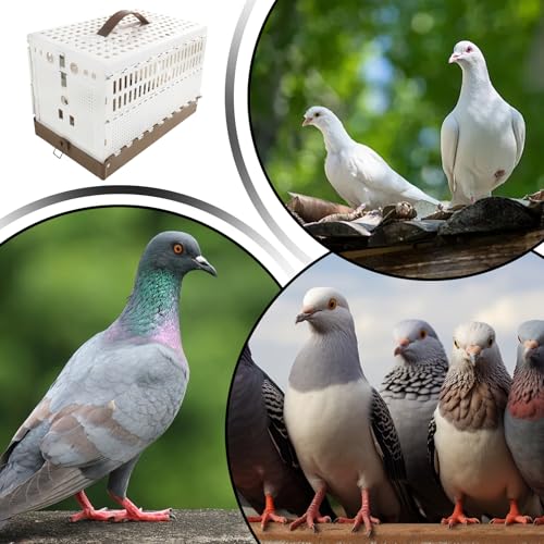 Small Bird Cage - Compact Foldable Travel Cages for Bird Domestication, Indoor Outdoor Transport with Secure Perches, Training Setup, Yard Use, Metal Construction, Easy Storage – Image 6