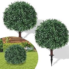 2 Pack 23" Boxwood