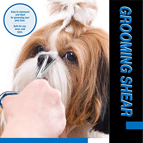 Laazar Pro Dog Grooming Scissors, Straight Pet Grooming Shears, With Safety Round Tip, Ball Point For Easy And Safe Use. | Premium Sharp Long Lasting Professional Hair Trimming Scissors (4.5 Inches) #TOP3