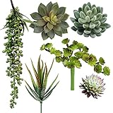 Supla 6 Assorted Fake Succulents Plants Picks Textured Artificial Succulents Unpotted Pick Succulent Stems Fake succulent bouquet String of Pearls Succulent Faux Succulent Floral Wall Art