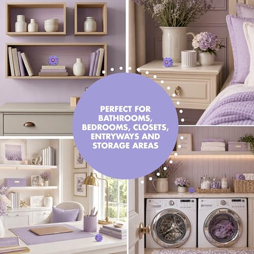 Arm & Hammer OdorBusterz ShapeMATE™, Lavender Flower, 4 Count – Decorative Odor Eliminator for Small Spaces - image 4