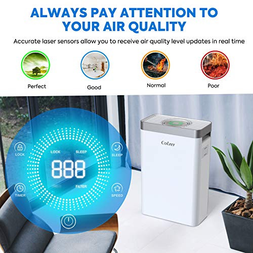 https://m.media-amazon.com/images/I/51cwcFGF-LL._SL500_.jpg